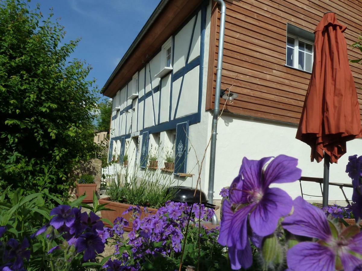 Goldbachhaeuschen Villa Olbersdorf Ngoại thất bức ảnh